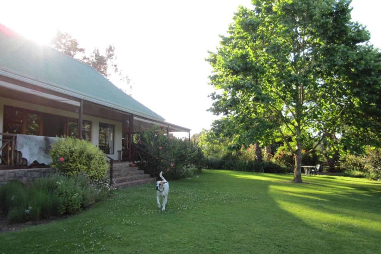 Forest Glen Bed and Breakfast Knysna Exterior foto